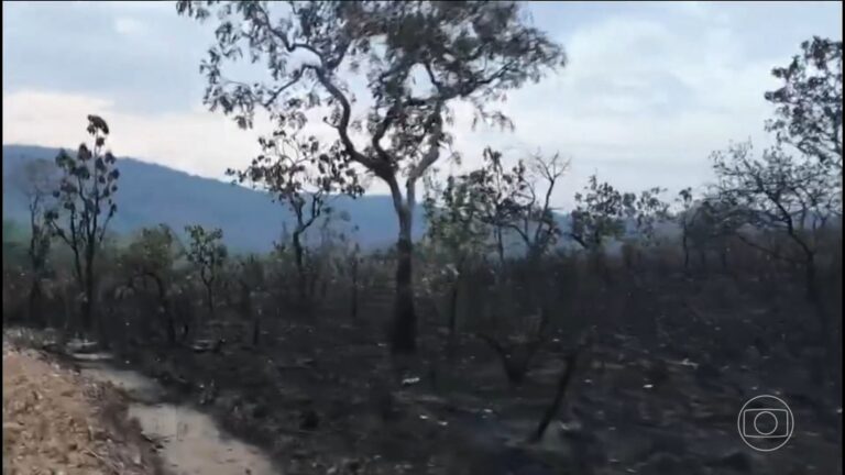 Queimada controlada ajuda a conter grandes incêndios na Chapada dos Veadeiros