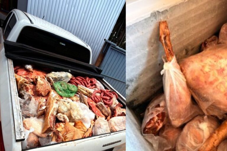 Polícia apreende quase 1 tonelada de carnes impróprias em Jaraguari