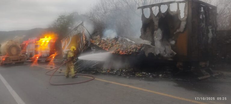 Incêndio em carreta na BR-251 pode ter sido causado por superaquecimento dos freios