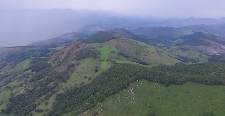 Copam adia licenciamento ambiental para exploração de terras raras em MG