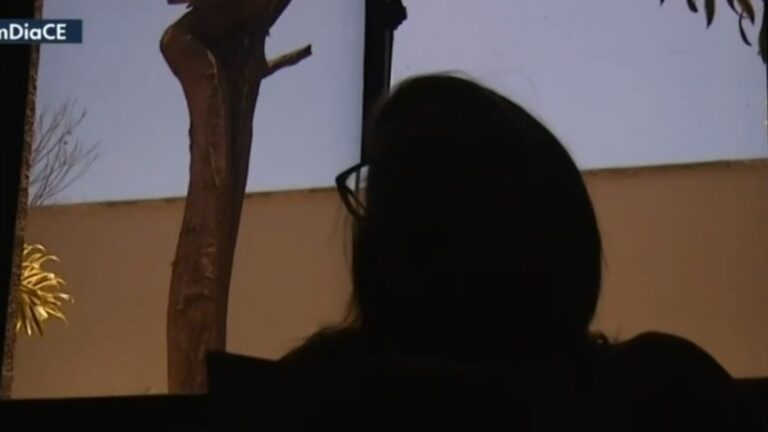 Professor é afastado após denúncia de assédio sexual