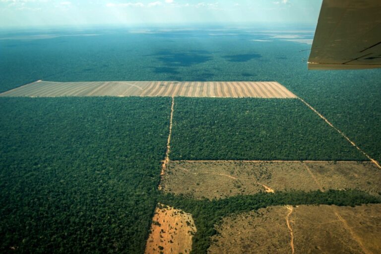 Mato Grosso registra alarmante aumento da violência no campo