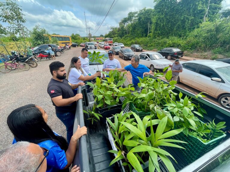 Distribuição de mudas incentiva plantio e consumo de frutas na comunidade do Cipoal em Santarém