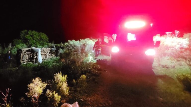 Ataque de abelhas causa mortes de pai e filha no RS