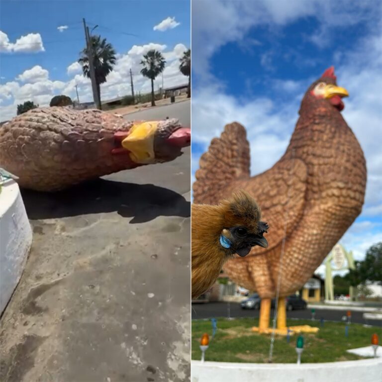 Ventania derruba monumento de galinha gigante na BR-304 em Assú