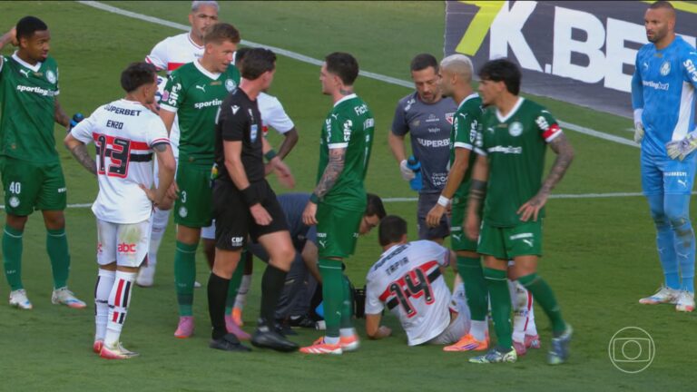 Flamengo e Palmeiras: polêmica de arbitragem no Brasileirão