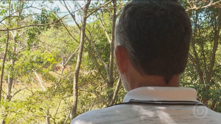 Recuperação de áreas degradadas no Espírito Santo plantou 2 milhões de mudas nativas