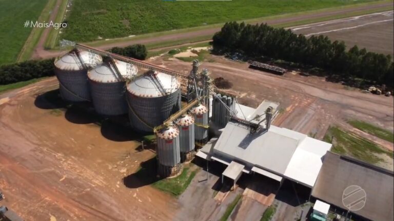 Produtores de MT estocam grãos após superlotação no Porto de Santos