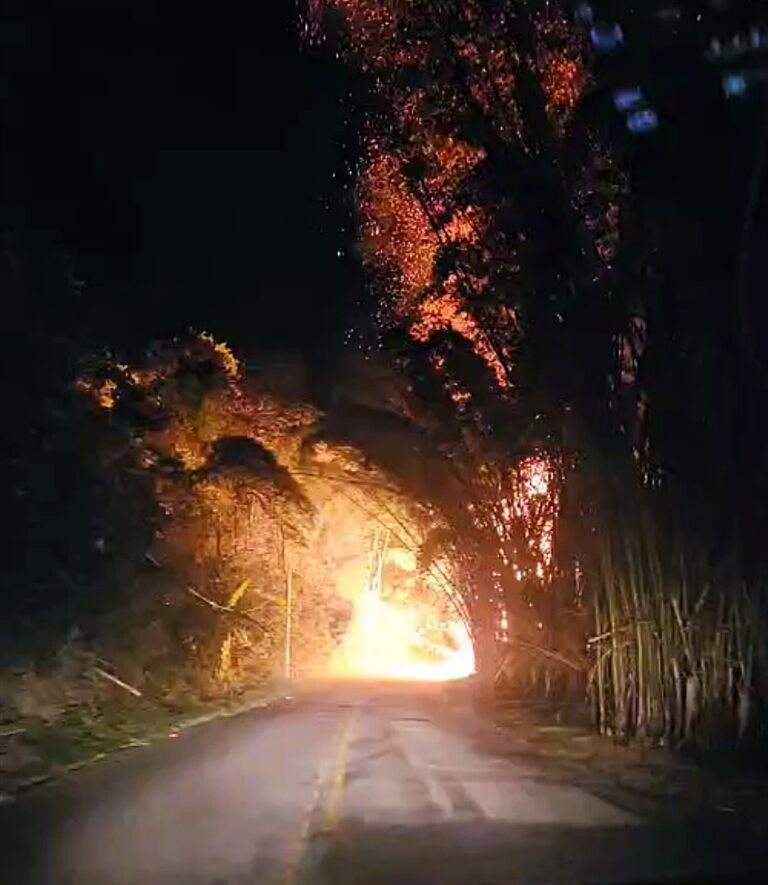 Incêndio atinge margens da MG-267 entre Machado e Carvalhópolis