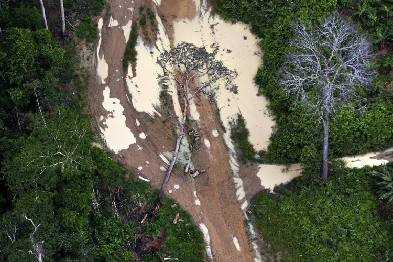 O fogo como novo protagonista do desmatamento na Amazônia