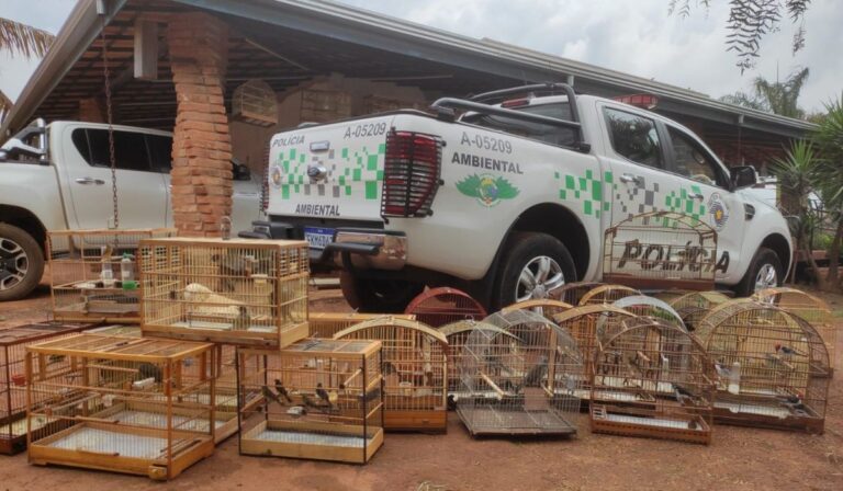 Polícia resgata 46 aves silvestres em Hortolândia, uma ameaçada de extinção