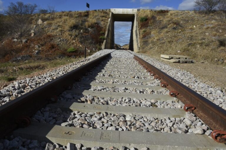 Transnordestina adia início das operações de transporte entre PI e CE