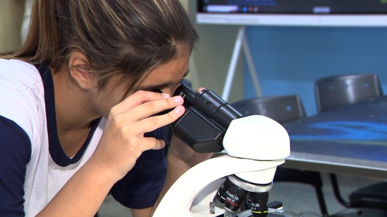 Prêmio Ciência para Todos: conheça os projetos vencedores em Campinas