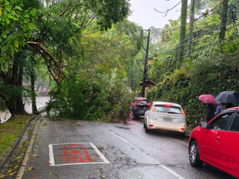 Petrópolis registra 18 ocorrências após fortes chuvas