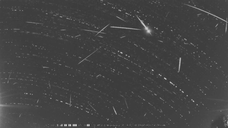Chuva de meteoros ilumina o céu em SP