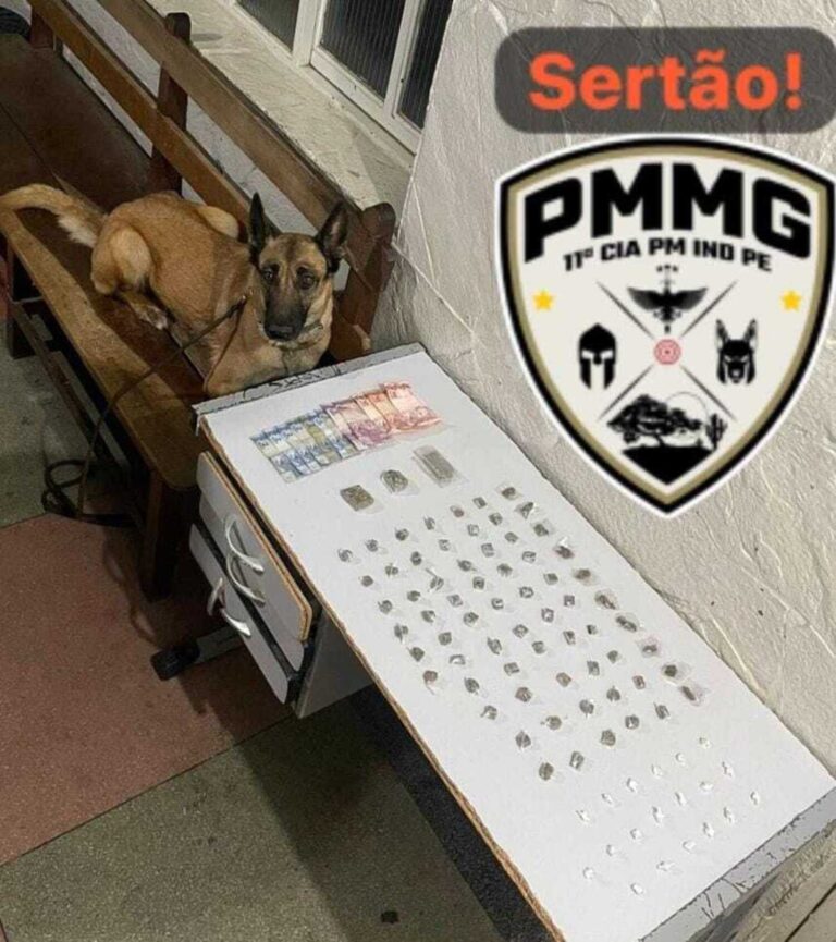 Polícia apreende drogas em galinheiro e buraco de tijolo em Montes Claros