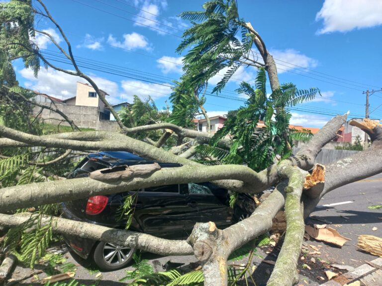 Árvore cai e atinge carro na Zona Sul de São José dos Campos