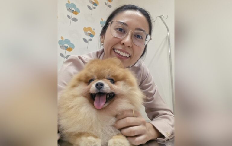 Banho em pets: veterinária explica a frequência ideal para cada animal