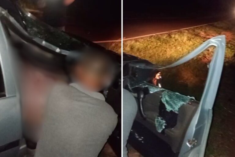 Carro colide com vaca em rodovia e deixa feridos em Rosana