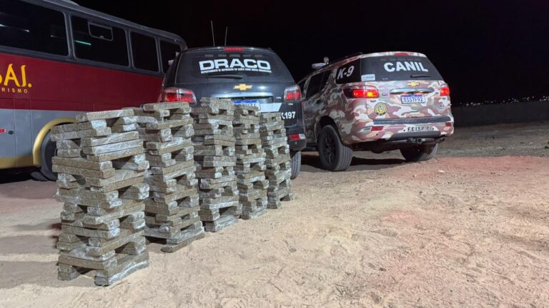 Homens são presos com 250 kg de supermaconha em ônibus no Piauí