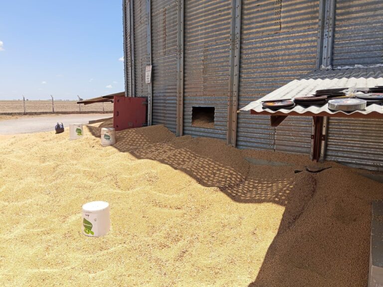 Trabalhador morre após cair em silo de soja em fazenda na BA