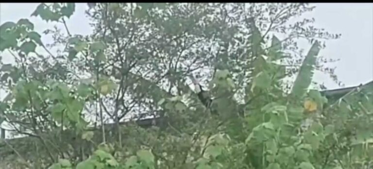 Tucano visita moradores de Mogi das Cruzes