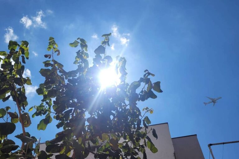 Temperatura em São Paulo pode chegar a 36°C neste fim de semana