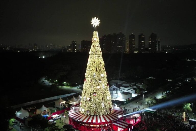 Árvore de Natal de 55 metros é inaugurada no Parque Villa-Lobos, em SP