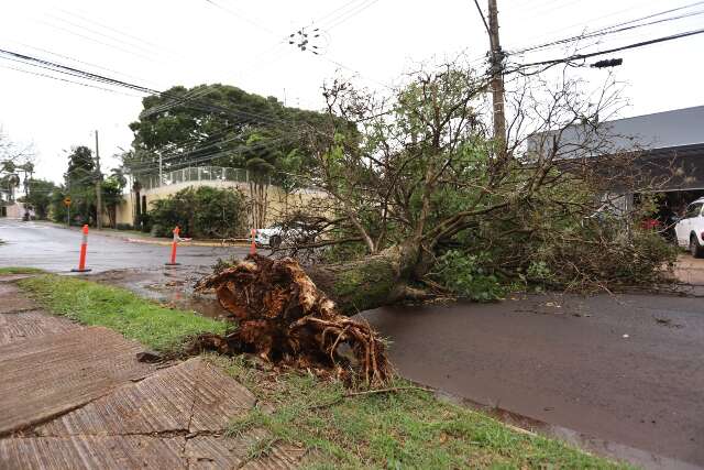 Alerta Sonoro da Defesa Civil: Bip no Celular Só em Emergências Extremas em MS