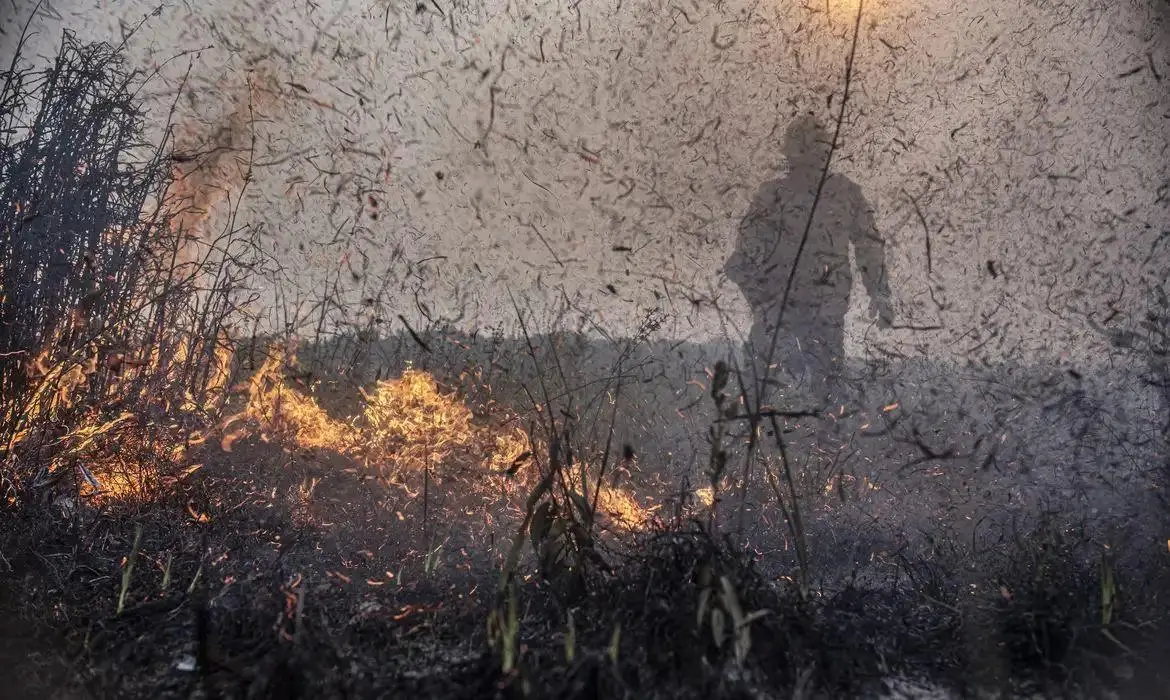 Alerta Vermelho na Amazônia: Temperatura em 2024 Ultrapassa Limite Crítico de Aquecimento, Revela MapBiomas