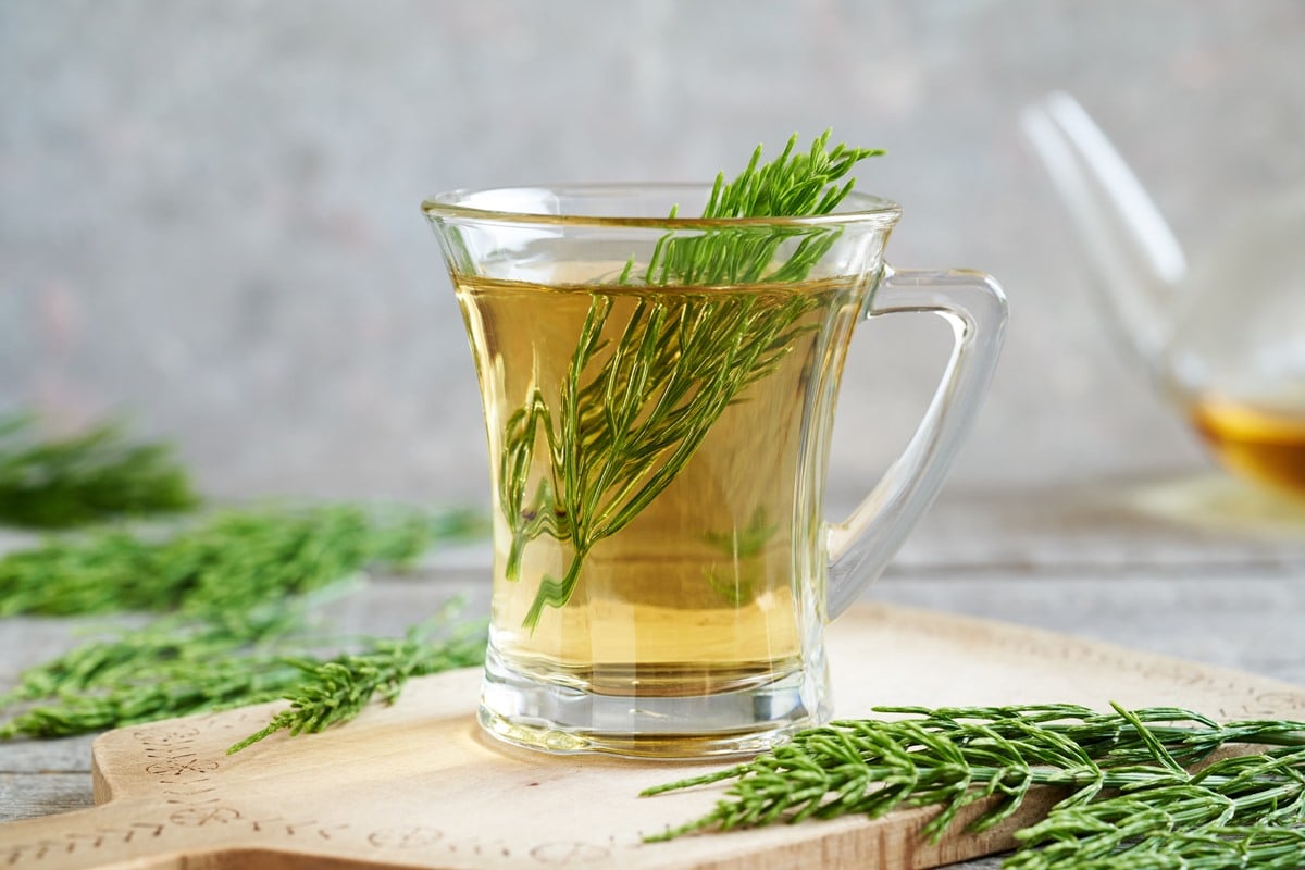 Cavalinha: O Poder Natural para Rins Saudáveis e Detox do Organismo