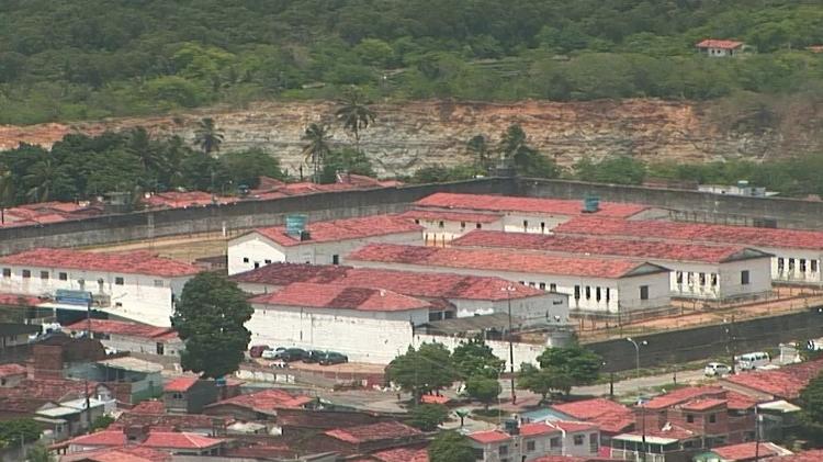 Tragédia em João Pessoa: a história de Gerson, jovem morto por leoa