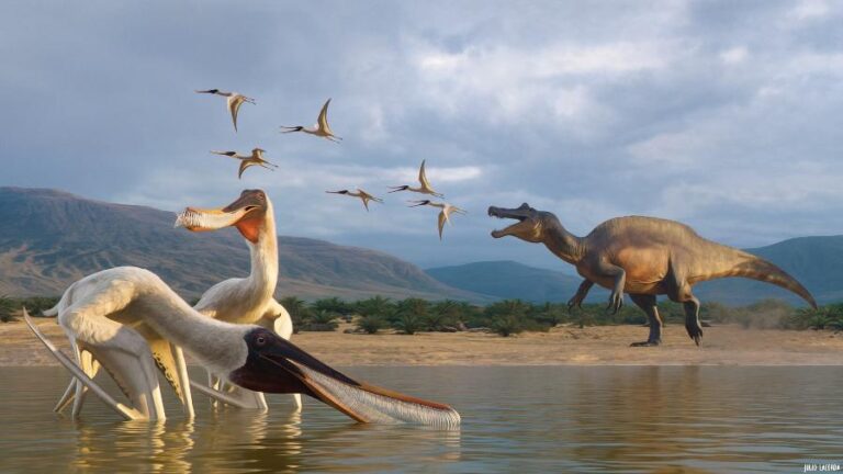 Fóssil de vômito de dinossauro revela nova espécie de réptil voador