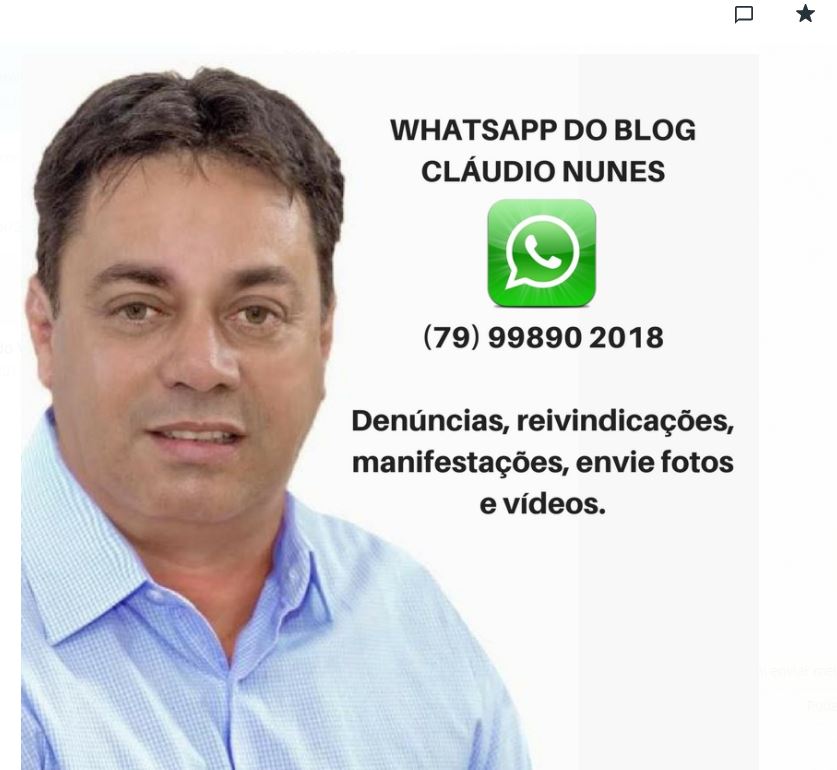Animais Soltos na Rodovia José Sarney: DER/SE Se Defende e Blog Questiona Fiscalização