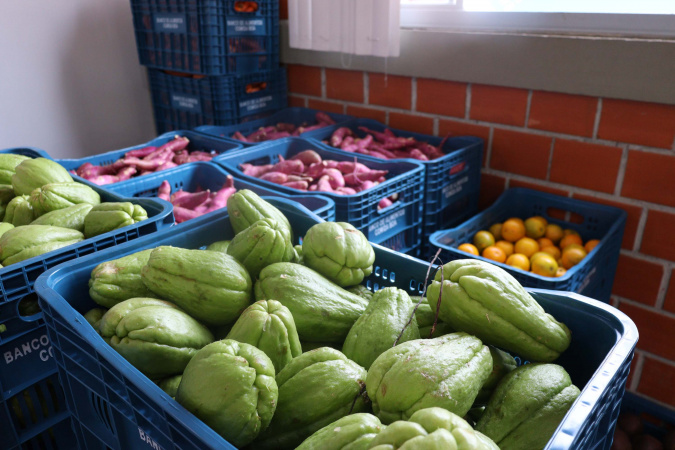 Estado reforça orientações para reduzir desperdício de alimentos imperfeitos