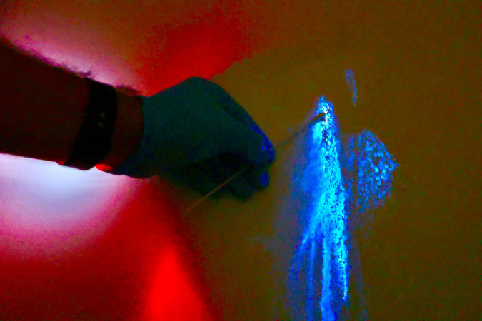 Luminol Potencializa Identificação Forense na Polícia Científica do Paraná