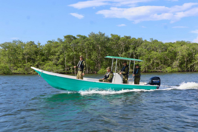 pmpr intensifica patrulhamento náutico para proteção da fauna marinha no verão
