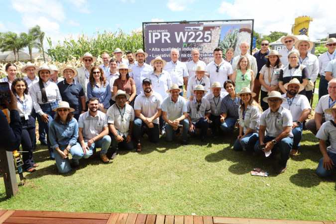 Estado apresenta cultivares resistentes e rentáveis de milho e mandioca no Show Rural
