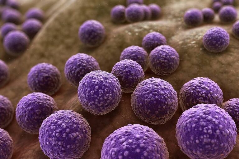 Desigualdade na mortalidade por infecções evidencia falhas no SUS paulista