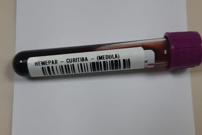 Fevereiro laranja reforça a conscientização sobre leucemia no Paraná