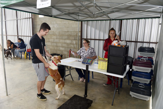 CastraPet promove saúde e controle populacional de cães e gatos na Região Metropolitana de Curitiba