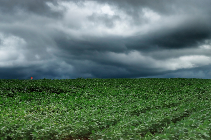 Tempestades no Paraná provocam chuvas intensas e ventos fortes nas regiões Campos Gerais e Norte