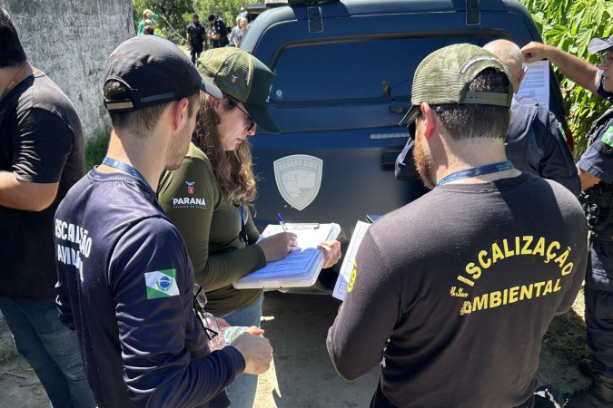IAT lança canal exclusivo para denúncias de crimes ambientais no Paraná