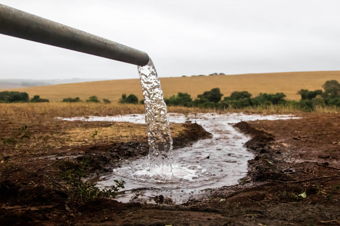 Dia mundial da água mobiliza estados com plantio e limpeza de rios
