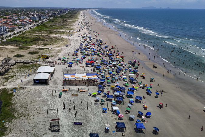 Águas-vivas no litoral do Paraná: orientações essenciais para prevenir acidentes no Carnaval