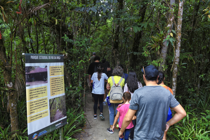 parque rio da onça revela riqueza da mata atlântica entre as praias do paraná