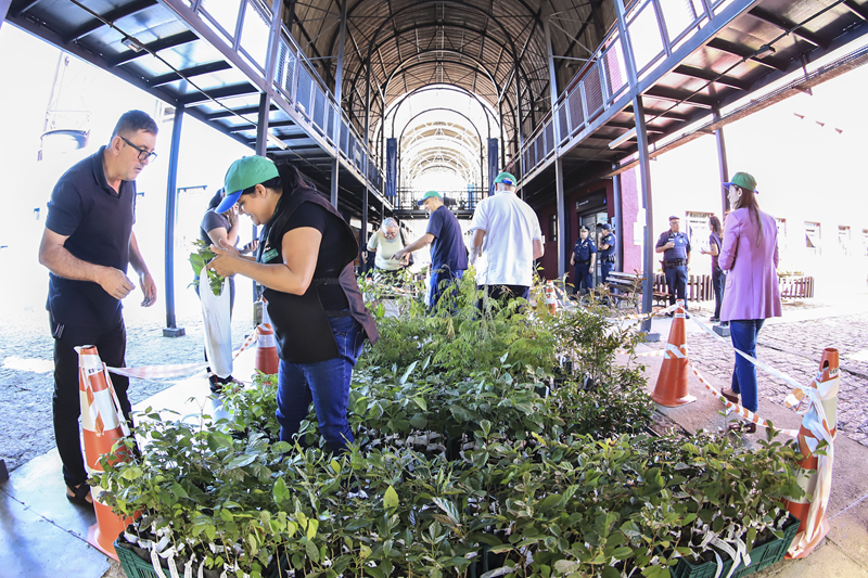 Aniversário de Curitiba movimenta regionais com programação cultural e serviços gratuitos