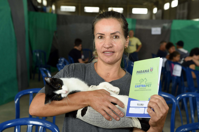 Estado amplia vagas para castração de gatos e combate à esporotricose